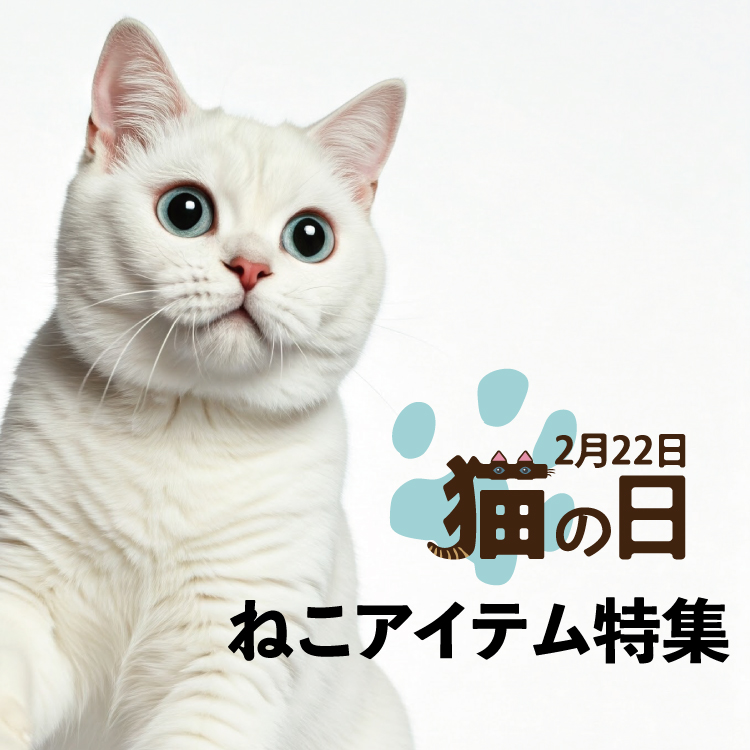 【NEWS】猫の日2025