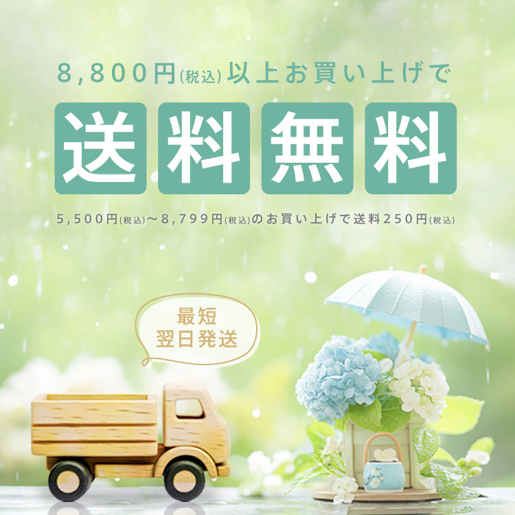 最短翌日配送 送料無料