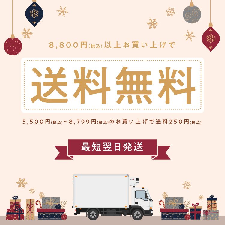 最短翌日配送 送料無料