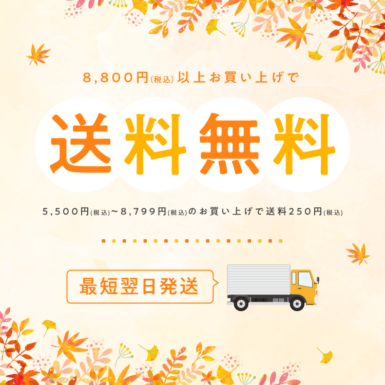 【最短翌日配送】税込8800円以上お買い上げで送料無料