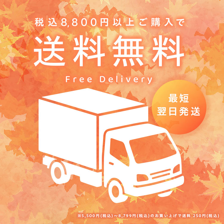 【最短翌日配送】税込8800円以上お買い上げで送料無料