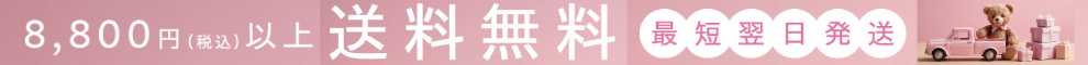 送料無料最短翌日配送