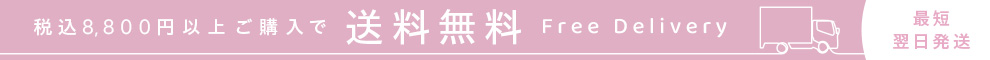 送料無料最短翌日配送
