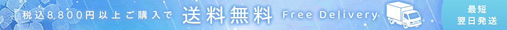 送料無料最短翌日配送