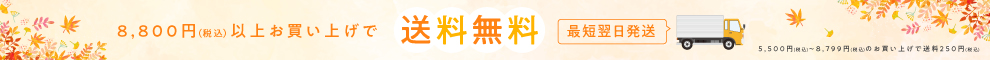 送料無料最短翌日配送
