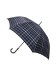 【雨傘】 ダックス （DAKS） チェック柄 長傘 【公式ムーンバット】 メンズ 日本製 軽量 ジャンプ式 グラスファイバー ギフト 誕生日 ギフト（雨傘/長傘）のサムネイル画像