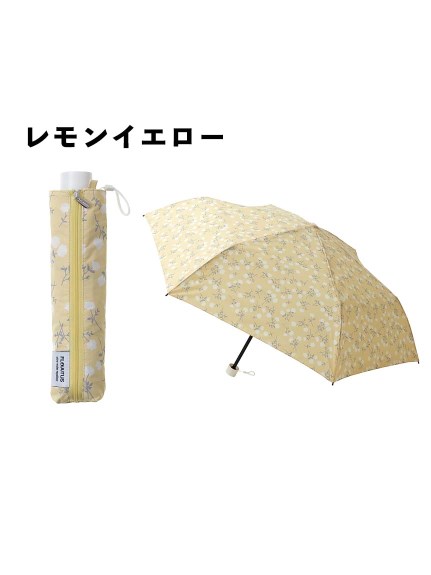 【雨傘】フロータス (FLO(A)TUS) print ストライプ コットン フラワー 折りたたみ傘 【公式ムーンバット】 レディース 晴雨兼用 耐風傘 超撥水 UV（雨傘/折りたたみ傘）の詳細画像