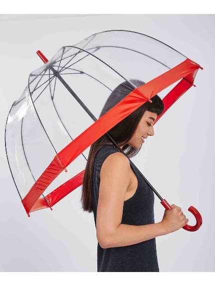 【雨傘】フルトン (FULTON) Birdcage ワンポイントロゴ 長傘 透明傘【公式】レディース メンズ ユニセックス 透明ビニール傘 インポート ギフト ギフト（雨傘/長傘）の詳細画像