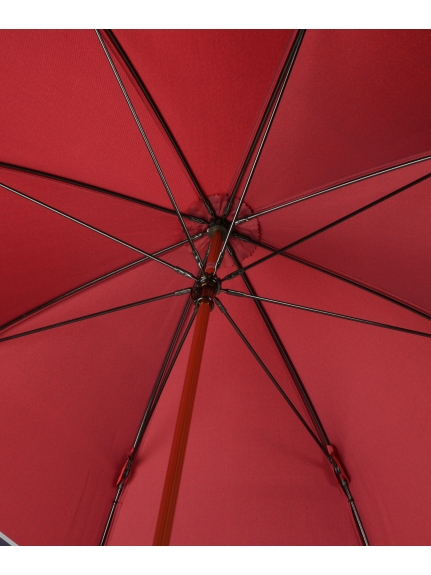 【雨傘】 ポロ ラルフ ローレン (POLO RALPH LAUREN) ツイルカラーブロック 長傘 【公式ムーンバット】 レディース 日本製 軽量  グラスファイバー ギフト