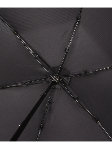 【雨傘】 ポロ ラルフ ローレン (POLO RALPH LAUREN) POLO BEAR 折りたたみ傘 【公式ムーンバット】 レディース 軽量  カーボン ギフト