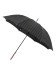 【雨傘】ポロ ラルフ ローレン(POLO RALPH LAUREN) チェック 長傘 メンズ 先染めチェック ツイル生地 ロゴワンポイント（雨傘/長傘）のサムネイル画像