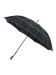【雨傘】ポロ ラルフ ローレン(POLO RALPH LAUREN) チェック 長傘 メンズ 先染めチェック ツイル生地 ロゴワンポイント（雨傘/長傘）のサムネイル画像