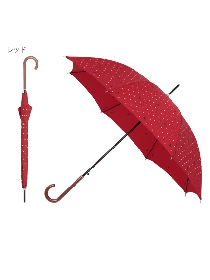 【雨傘】ポロ　ラルフ　ローレン (POLO RALPH LAUREN) ドット柄 長傘 【公式ムーンバット】 ジャンプ式